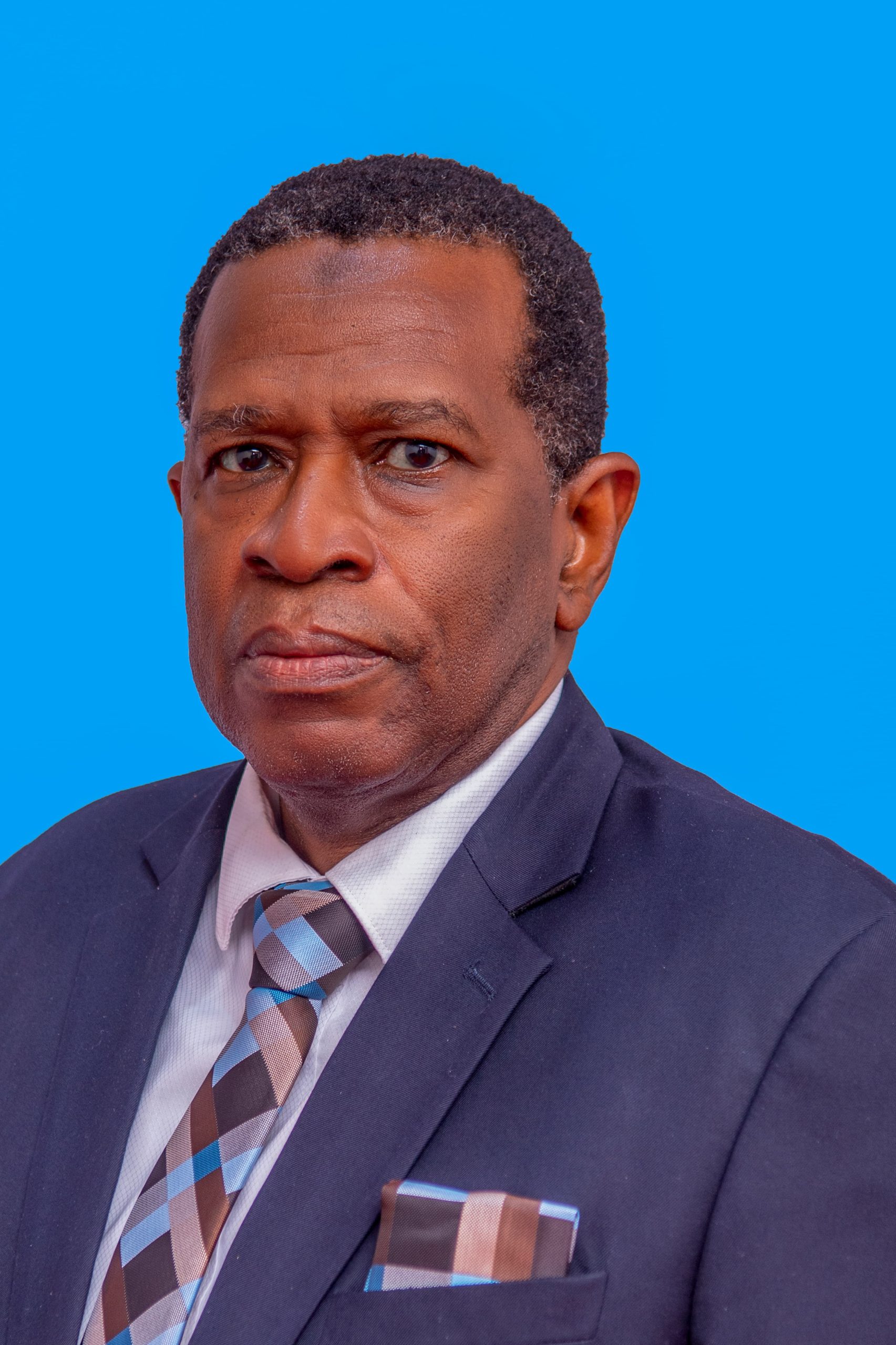Hon. Amb. Mohammed H. Hamza